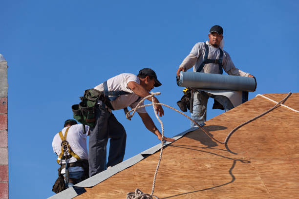 Best Roof Gutter Cleaning  in Walker, LA